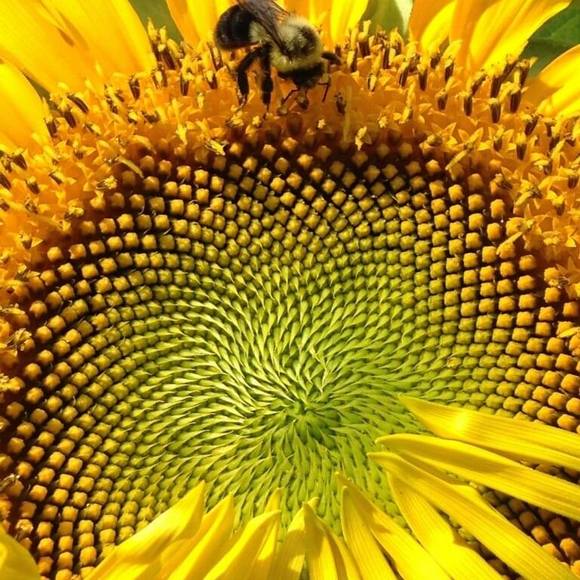 Meet your Posher, Stephanie - Picture 1 of 1